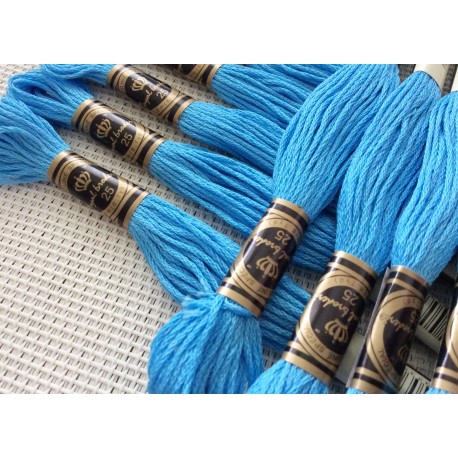 10 Echevettes de fils de coton bleues