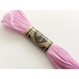 Echevettes de fils à broder roses